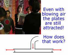 Bernoulli Plates