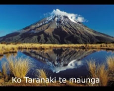 Cold Boil Taranaki