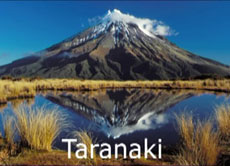 Cold Boil Taranaki